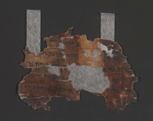 4QDan Fragment